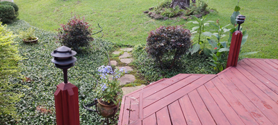 Deck